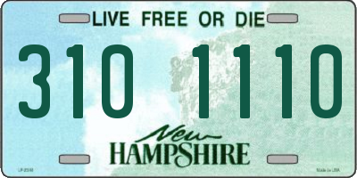 NH license plate 3101110