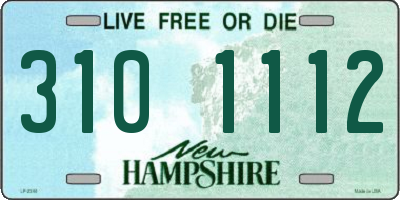 NH license plate 3101112