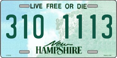 NH license plate 3101113