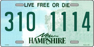 NH license plate 3101114