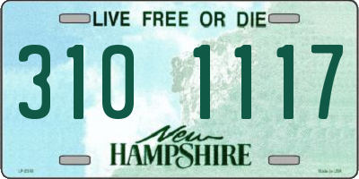 NH license plate 3101117