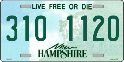 NH license plate 3101120