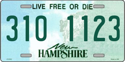 NH license plate 3101123