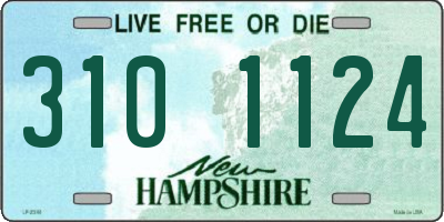 NH license plate 3101124