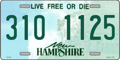 NH license plate 3101125