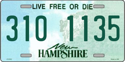 NH license plate 3101135