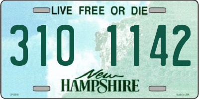 NH license plate 3101142
