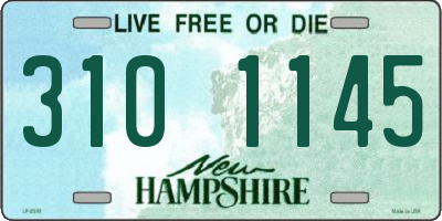 NH license plate 3101145