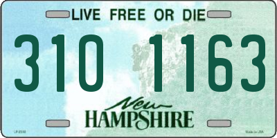 NH license plate 3101163