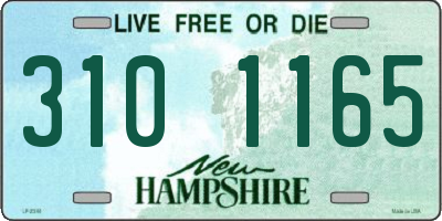 NH license plate 3101165