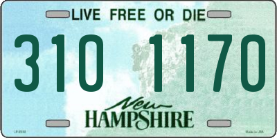 NH license plate 3101170