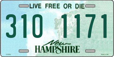 NH license plate 3101171