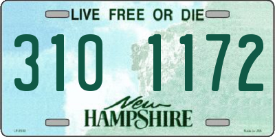 NH license plate 3101172