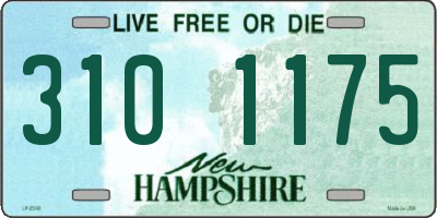 NH license plate 3101175