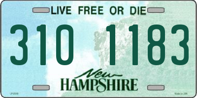 NH license plate 3101183