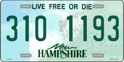 NH license plate 3101193