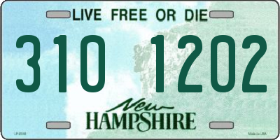 NH license plate 3101202