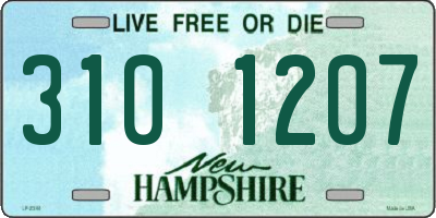NH license plate 3101207