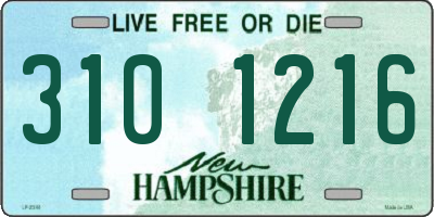 NH license plate 3101216