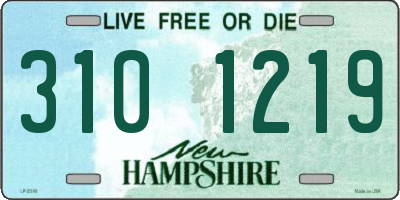 NH license plate 3101219
