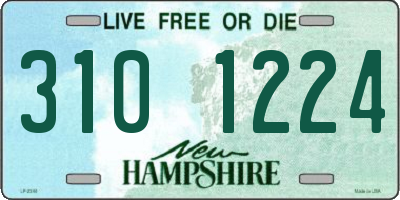 NH license plate 3101224