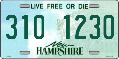 NH license plate 3101230