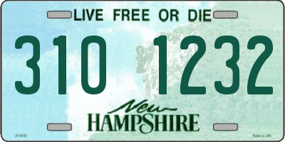 NH license plate 3101232