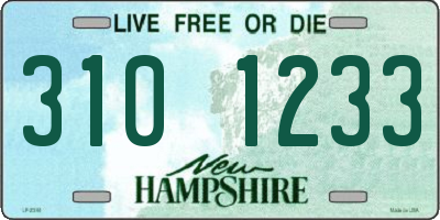 NH license plate 3101233