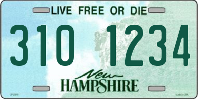 NH license plate 3101234