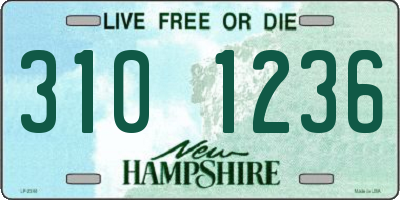 NH license plate 3101236