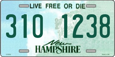 NH license plate 3101238