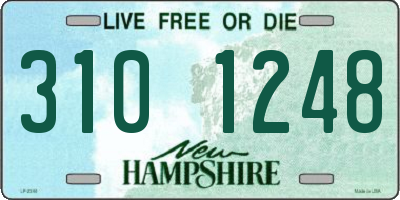NH license plate 3101248