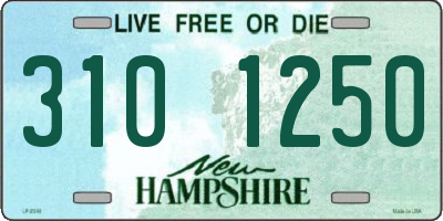 NH license plate 3101250