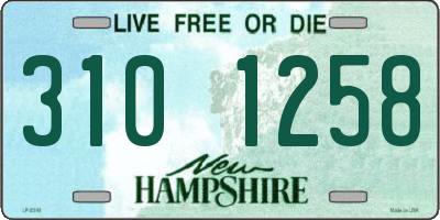 NH license plate 3101258