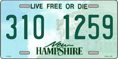 NH license plate 3101259