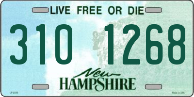 NH license plate 3101268