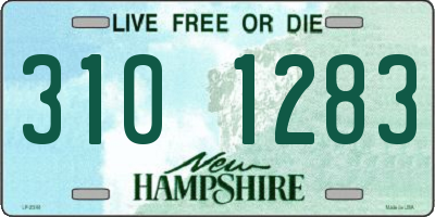 NH license plate 3101283
