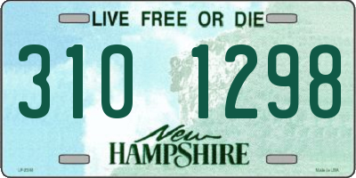 NH license plate 3101298
