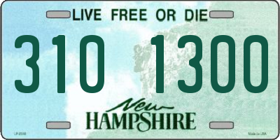 NH license plate 3101300
