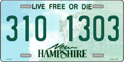 NH license plate 3101303
