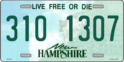 NH license plate 3101307