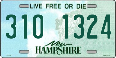 NH license plate 3101324