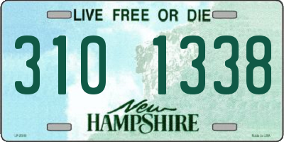NH license plate 3101338