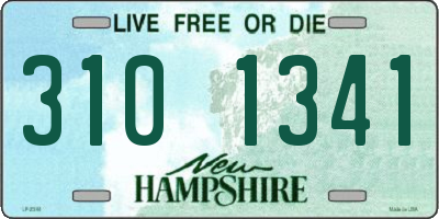 NH license plate 3101341