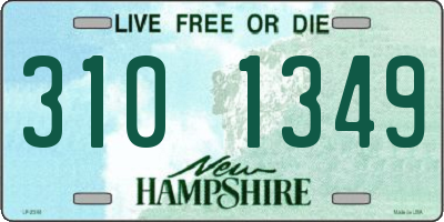 NH license plate 3101349
