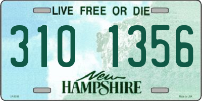 NH license plate 3101356