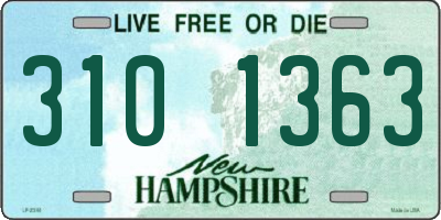 NH license plate 3101363