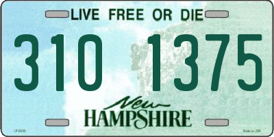 NH license plate 3101375