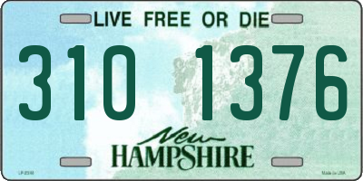 NH license plate 3101376