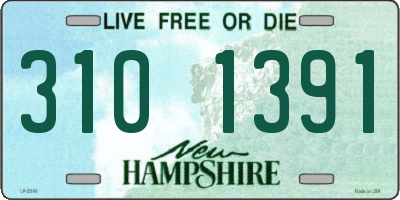 NH license plate 3101391